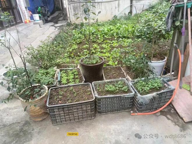 代旺”指哪5人？上坟添土有啥讲究？龙8国际点此进入“五人不添土子孙代(图2)