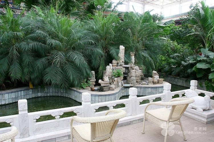 限公司康养医护结合针对性康复标杆详解地址2026最新术后康复需专业护理功能锻炼去哪好？北京市松鹤养老院有(图17)